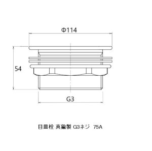 画像2: 目皿栓 真鍮製 G3ネジ(75A) 